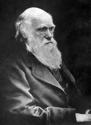 darwin01